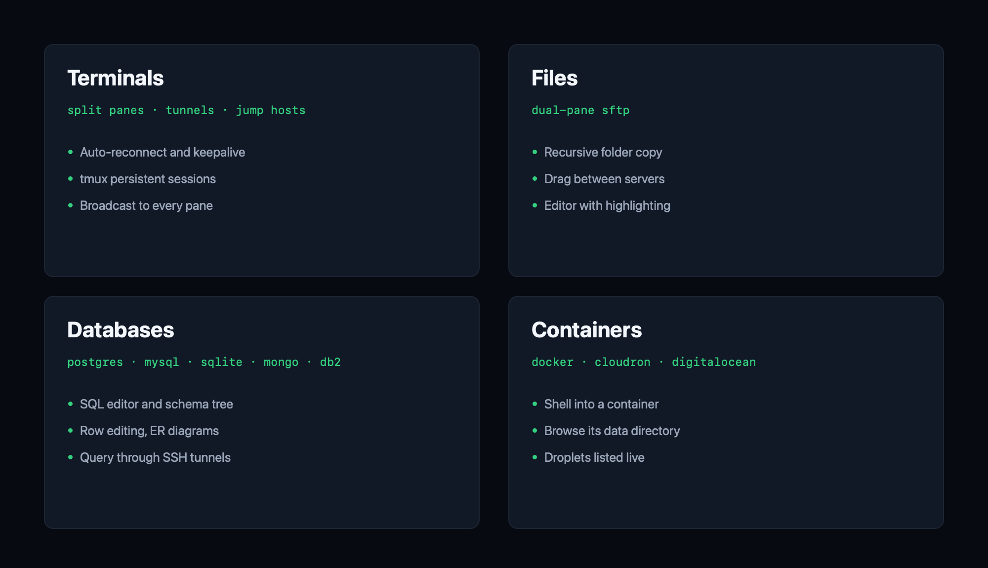 The four NexTerm workspaces: terminals, files, databases and containers